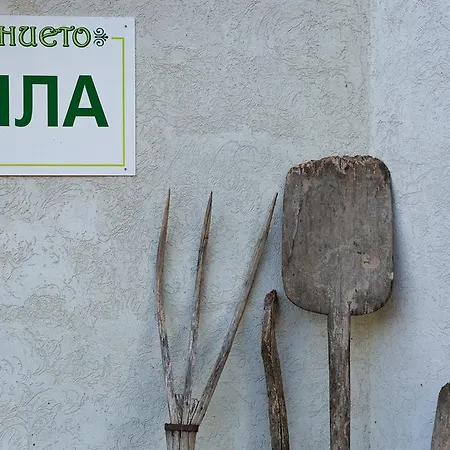 Eco Imenieto